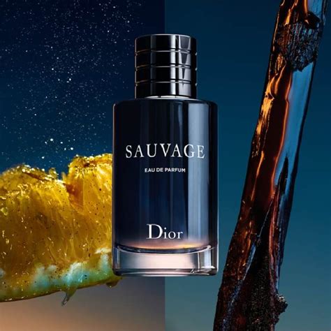 sauvage dior profumeriaweb|sauvage fragrance.